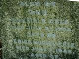 image of grave number 972779